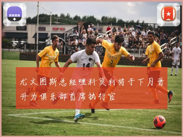 尤文图斯总经理科莫利将于下月晋升为俱乐部首席执行官