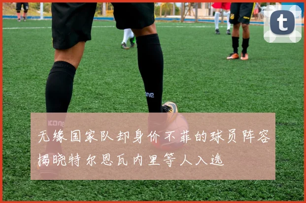 无缘国家队却身价不菲的球员阵容揭晓特尔恩瓦内里等人入选