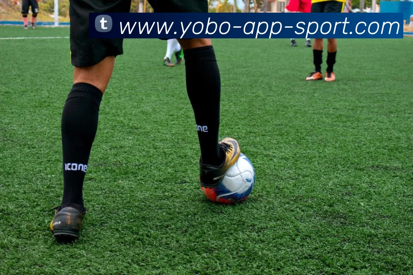 yobo体育发展历程